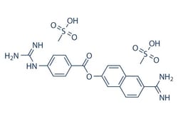 Selleck Chemical LLC Nafamostat Mesylate 100mg 82956-11-4 FUT-175, Quantity: