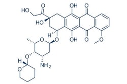 Selleck Chemical LLC Pirarubicin 50mg 72496-41-4, Quantity: Each of 1