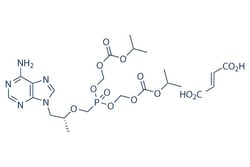 Selleck Chemical LLC Tenofovir Disoproxil Fumarate 50mg 202138-50-9 GS-1278