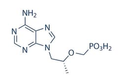 Selleck Chemical LLC Tenofovir 5mg 147127-20-6 GS-1278, Quantity: Each