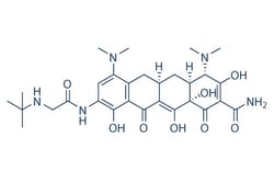 Selleck Chemical LLC Tigecycline 50mg 220620-09-7 GAR-936, Quantity: Each