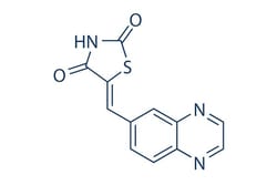 Selleck Chemical LLC AS-605240 5mg 648450-29-7, Quantity: Each of 1