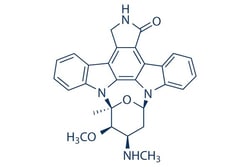 Selleck Chemical LLC&nbsp;Staurosporine 5mg 62996-74-1 CGP 41251