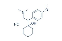 Selleck Chemical LLC Venlafaxine HCl 25mg 99300-78-4, Quantity: Each of