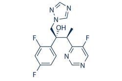 Selleck Chemical LLC Voriconazole 10mg 137234-62-9 UK-109496