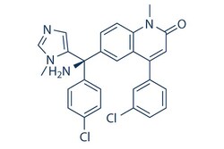 Selleck Chemical LLC Tipifarnib 10mg 192185-72-1 R115777, Quantity: Each