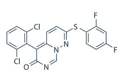 Selleck Chemical LLC VX-745 10mg 209410-46-8