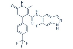 Selleck Chemical LLC GSK429286A 2mg 864082-47-3 RHO-15, Quantity: Each