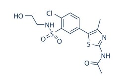 Selleck Chemical LLC PIK-93 25mg 593960-11-3, Quantity: Each of 1