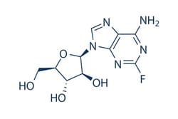 Selleck Chemical LLC&nbsp;Fludarabine 50mg 21679-14-1 FaraA, Fludarabinum
