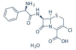 Selleck Chemical LLC Cefaclor 25mg 70356-03-5 Cefachlor, Cefaclorum, Quantity: