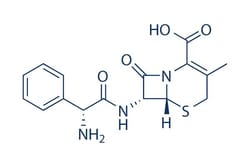 Selleck Chemical LLC Cephalexin 50mg 15686-71-2 Cefalexin, Quantity: Each