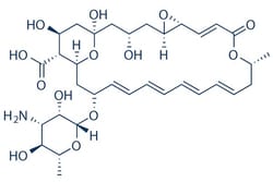 Selleck Chemical LLC Natamycin 50mg 7681-93-8 Pimaricin, Quantity: Each