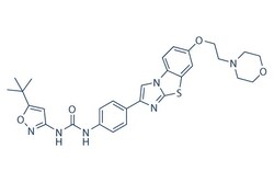 Selleck Chemical LLC Quizartinib (AC220) 5mg 950769-58-1, Quantity: Each