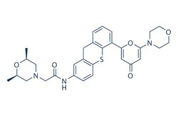 Selleck Chemical LLC KU-60019 10mg 925701-49-1