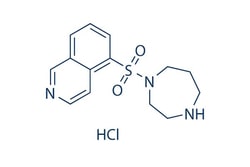 Selleck Chemical LLC Fasudil (HA-1077) HCl 500mg 105628-07-7, Quantity:
