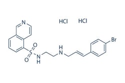 Selleck Chemical LLC H 89 2HCl 10mM/1mL 130964-39-5, Quantity: Each of
