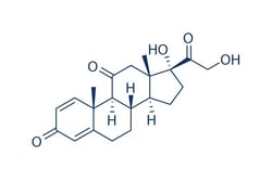Selleck Chemical LLC Prednisone 25mg 53-03-2, Quantity: Each of 1