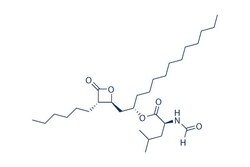 Selleck Chemical LLC Orlistat 100mg 96829-58-2 Ro 18-0647, Tetrahydrolipstatin,