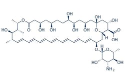 Selleck Chemical LLC&nbsp;Amphotericin B 50mg 1397-89-3 NSC 527017
