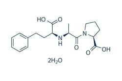 Selleck Chemical LLC&nbsp;Enalaprilat Dihydrate 50mg 84680-54-6 MK-422 Dihydrate