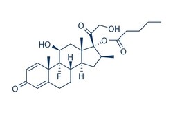 Selleck Chemical LLC Betamethasone Valerate 25mg 2152-44-5, Quantity: Each