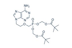 Selleck Chemical LLC Adefovir Dipivoxil 100mg 142340-99-6, Quantity: Each