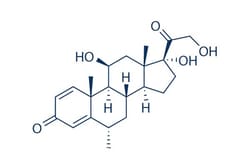 Selleck Chemical LLC Methylprednisolone, Quantity: Each of 1