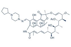 Selleck Chemical LLC Rifapentine 25mg 61379-65-5 MDL473, Quantity: Each