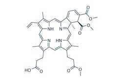 Selleck Chemical LLC Verteporfin 10mg 129497-78-5 CL 318952, Visudyne,
