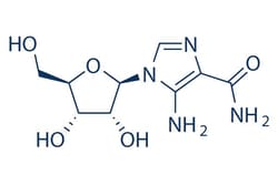 Selleck Chemical LLC AICAR (Acadesine) 200mg 2627-69-2 NSC105823, Quantity: