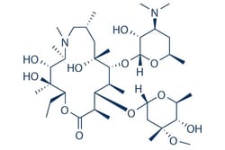 Selleck Chemical LLC&nbsp;Azithromycin 25mg 83905-01-5 CP-62993, XZ-450