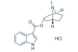 Selleck Chemical LLC Tropisetron HCl 10mg 105826-92-4 ICS 205-930, Quantity: