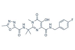 Selleck Chemical LLC Raltegravir (MK-0518) 10mM/1mL 518048-05-0, Quantity: