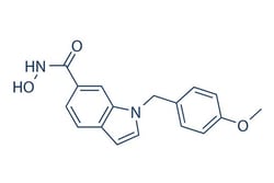 Selleck Chemical LLC PCI-34051 10mg 950762-95-5
