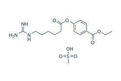 Selleck Chemical LLC Gabexate Mesylate 5mg 56974-61-9, Quantity: Each of