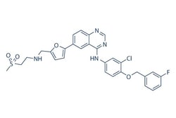 Selleck Chemical LLC Lapatinib 25mg 231277-92-2 GW-572016, GSK572016, Quantity: