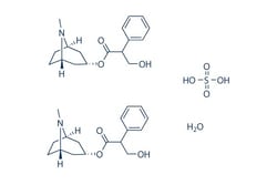 Selleck Chemical LLC Atropine sulfate monohydrate 10mg 5908-99-6, Quantity: