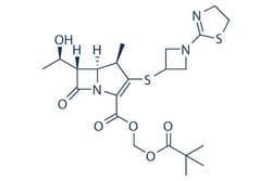Selleck Chemical LLC Tebipenem Pivoxil 50mg 161715-24-8 L-084, ME1211,
