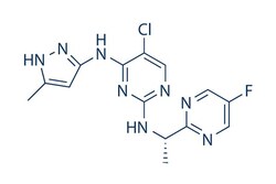 Selleck Chemical LLC AZD1480 10mM/1mL 935666-88-9, Quantity: Each of 1