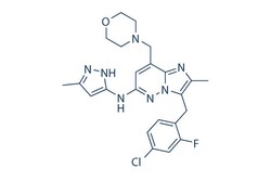 Selleck Chemical LLC Gandotinib (LY2784544) 5mg 1229236-86-5, Quantity:
