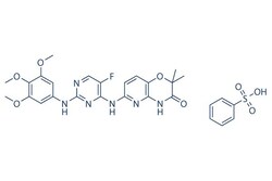 Selleck Chemical LLC R406 5mg 841290-81-1, Quantity: Each of 1