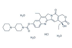 Selleck Chemical LLC Irinotecan HCl Trihydrate 25mg 136572-09-3 CPT-11