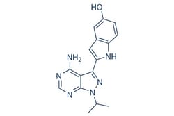 Selleck Chemical LLC Torkinib (PP242) 10mM/1mL 1092351-67-1, Quantity: