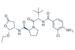 Selleck Chemical LLC Belnacasan (VX-765) 10mg 273404-37-8, Quantity: Each