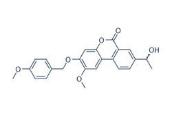 Selleck Chemical LLC Palomid 529 (P529) 10mg 914913-88-5 SG 00529, Quantity: