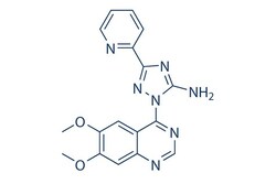 Selleck Chemical LLC CP-466722 2mg 1080622-86-1, Quantity: Each of 1