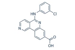 Selleck Chemical LLC Silmitasertib (CX-4945) 2mg 1009820-21-6, Quantity: