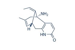 Selleck Chemical LLC (-)-Huperzine A (HupA) 10mg 102518-79-6, Quantity: