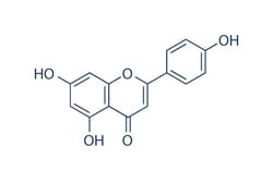 Selleck Chemical LLC Apigenin 50mg 520-36-5 NSC 83244, LY 080400, Quantity: